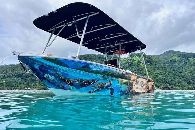Snorkeling EN Small Group Tour in Tahiti - Puna’auia and the early dolphin encounter