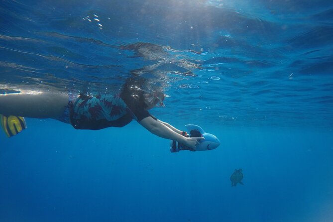 Snorkeling EN Underwater Scooter in Tahiti - Is $168.83 a fair price?
