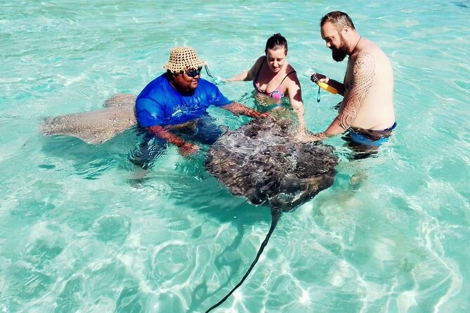Snorkeling excursion and encounter with marine fauna in Moorea - Why the yellow boat makes a difference