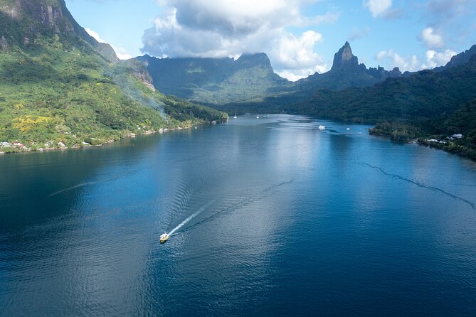 Snorkeling excursion and encounter with marine fauna in Moorea - Snorkel stops with turtles, rays, and reef sharks