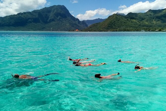 Snorkeling excursion and encounter with marine fauna in Moorea - The boat ladder and swimming requirements