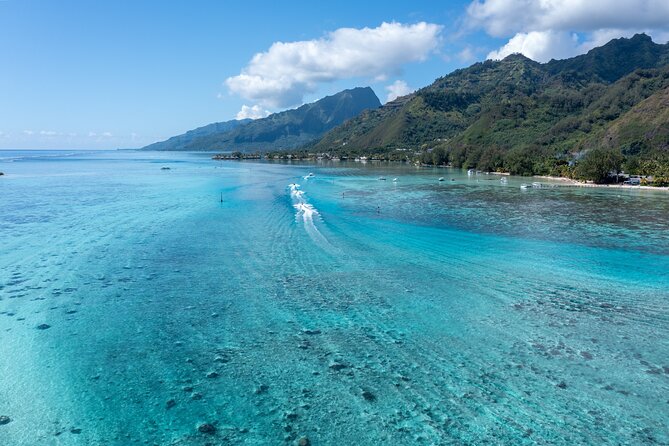 Snorkeling excursion and encounter with marine fauna in Moorea - Starting at the cruise quay at 9:00 am