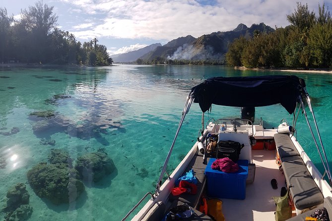 Snorkeling excursion, discovery of the lagoon, small group. - Key points to know before booking