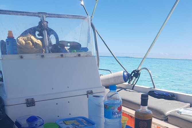 Snorkeling excursion, discovery of the lagoon, small group. - Two reef stops with coral and fish