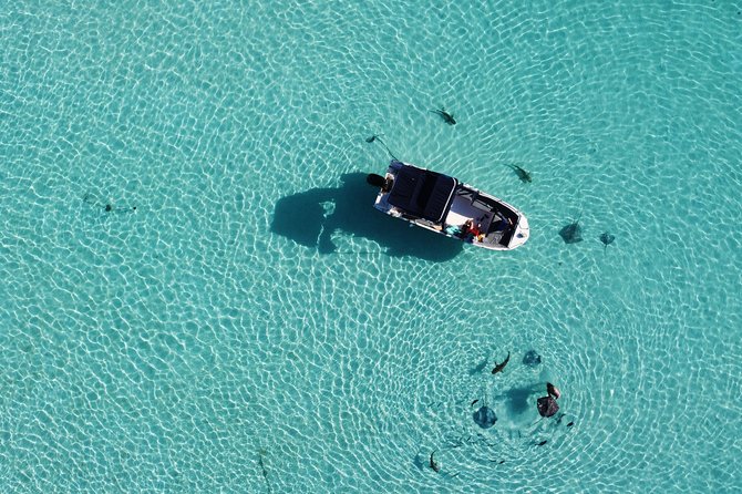 Snorkeling excursion, discovery of the lagoon, small group. - Alex’s guiding style and personal attention