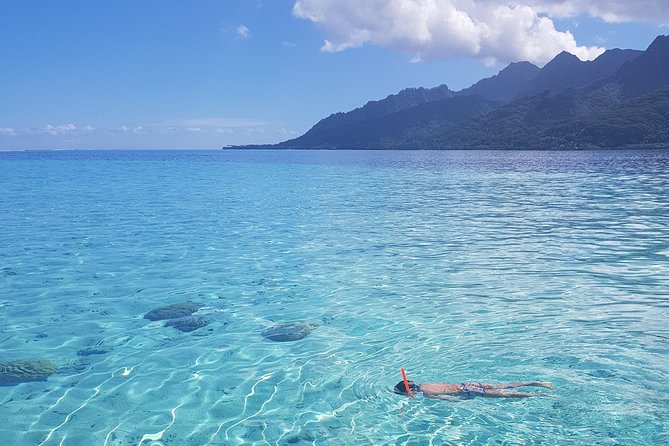 Snorkeling excursion, discovery of the lagoon, small group. - Why leaving early makes a difference