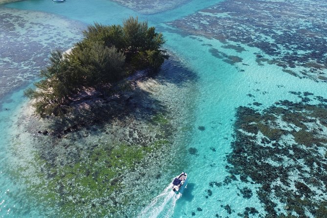 Snorkeling excursion, discovery of the lagoon, small group. - What the small group really changes