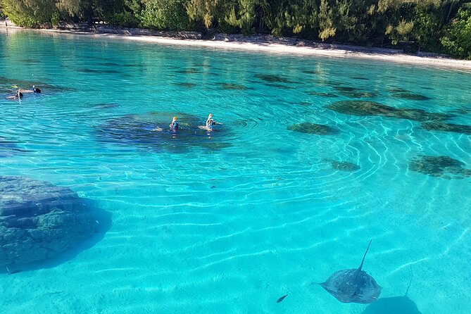 Snorkeling excursion, discovery of the lagoon, small group. - Is $118.46 a fair price?