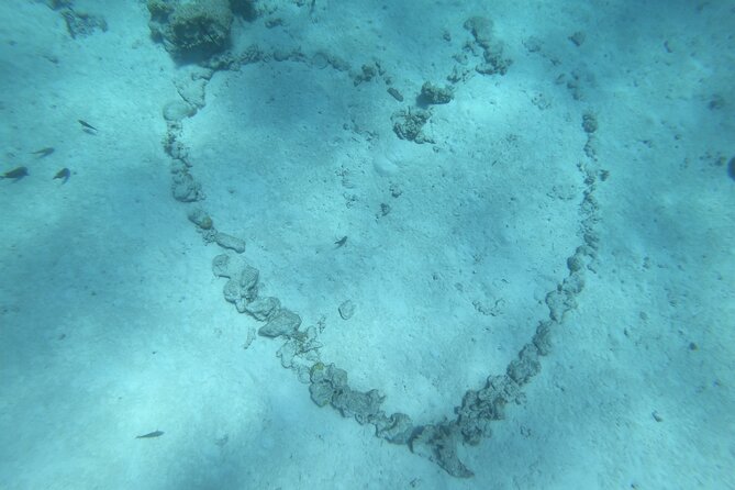 Snorkeling picnic in 4h30 with lunch in Tahiti - Stingrays at the white sandbank