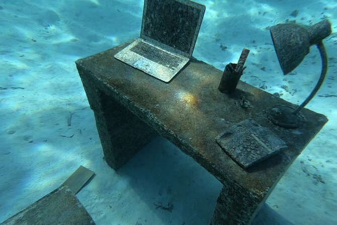 Snorkeling picnic in 4h30 with lunch in Tahiti - Who will enjoy this half-day outing