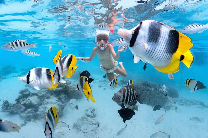Snorkeling Safari Moorea (Half Day Tour) - Setting out from Moorea Expedition