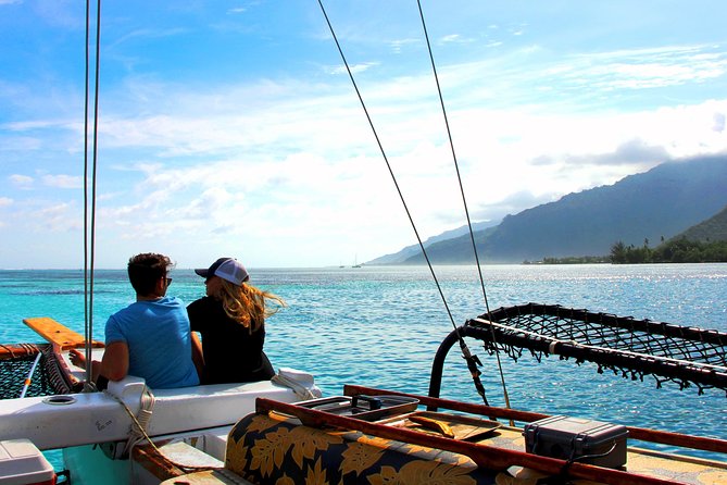 Sunset sailing - Snorkeling with rays, sharks, and turtles