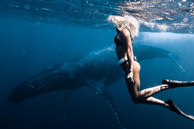 Swimming with Whales in Moorea (Half Day tour) - Life jackets, wetsuits, and what to bring