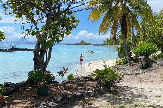 Taha'a Island or Raiatea Boat Tour - Snorkeling at the Coral Garden