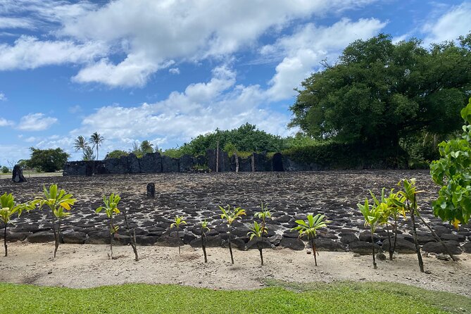 Taha'a Island or Raiatea Boat Tour - The Iaorana Pearl Farm visit