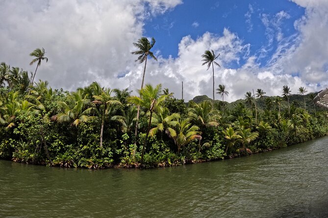 Taha'a Island or Raiatea Boat Tour - Who should book this excursion