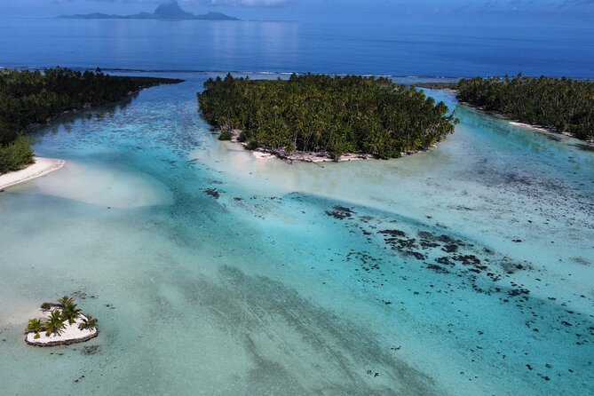 Tahaa Excursion in Electric Paddle Snorkeling Coral Garden - Why the Taha’a starting point matters