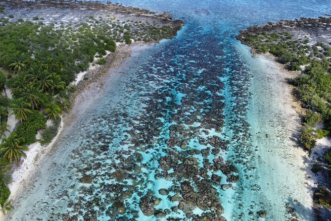 Tahaa Excursion in Electric Paddle Snorkeling Coral Garden - The snack break with feet in the water