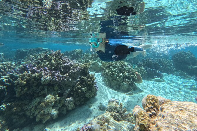 Tahaa Excursion in Electric Paddle Snorkeling Coral Garden - Morning, afternoon, or private outing?