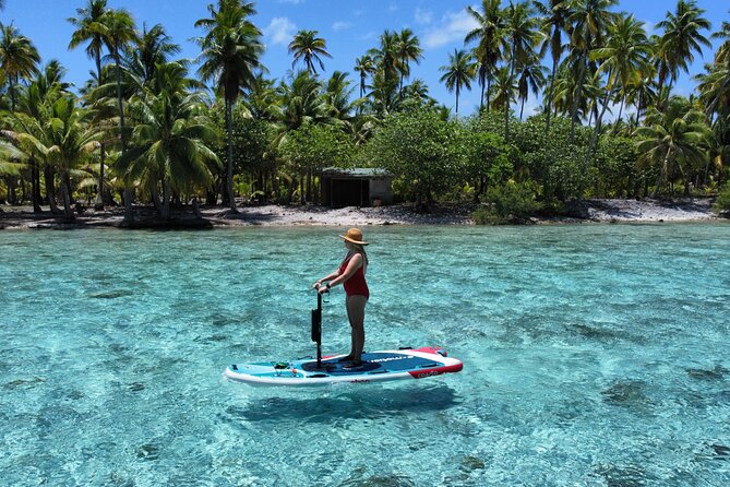 Tahaa Excursion in Electric Paddle Snorkeling Coral Garden - Is $128.23 a fair price?