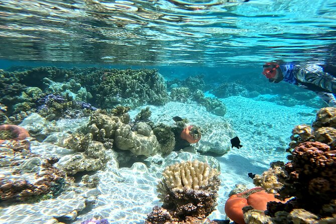 Tahaa Excursion in Electric Paddle Snorkeling Coral Garden - Riding the electric paddleboards