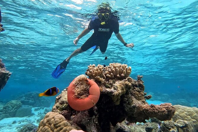 Tahaa: Kayaking Rental - Coral Garden - Snorkeling - Is $36.44 a good value?