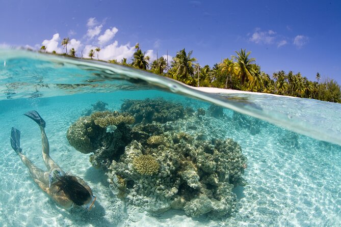 Tahaa Lagoon Tour -Departure Raiatea-Small groups (max 12 p) - Lunch on Motu Atger keeps the day from feeling rushed