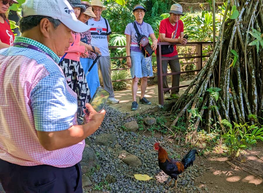 Tahiti Classical Coastal Full Day Private Tour - Why this private Tahiti circuit works so well