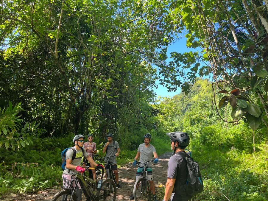 Tahiti E-bike, mtb, vtt Tour with Swimming and Lunch - Key points at a glance