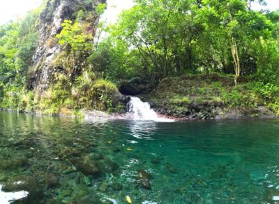 Tahiti E-bike, mtb, vtt Tour with Swimming and Lunch