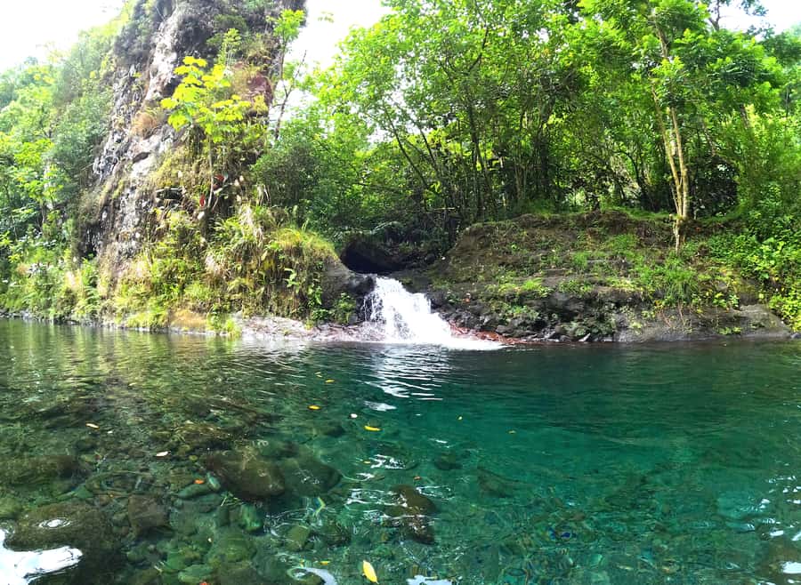 Tahiti E-bike, mtb, vtt Tour with Swimming and Lunch - An e-bike climb built for mixed ability