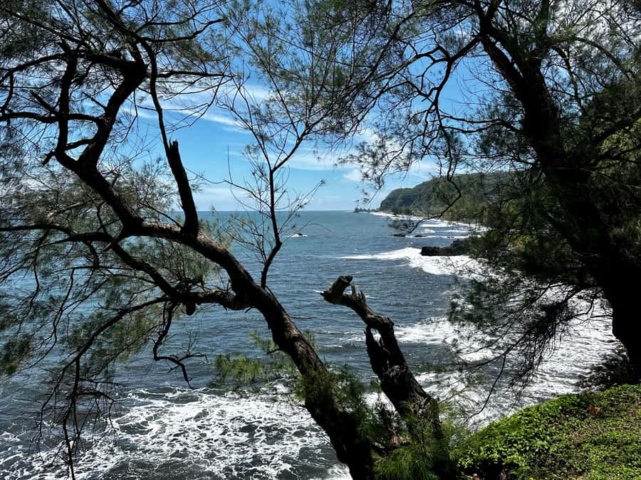 Tahiti: East or West coast tour (Half Day) - Key points at a glance