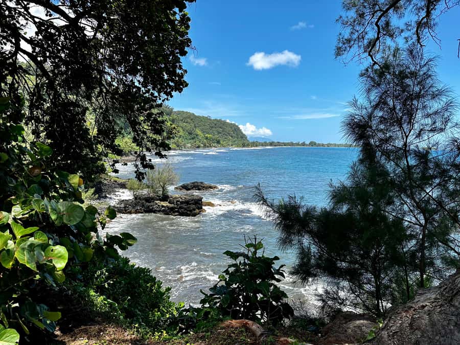 Tahiti: East or West coast tour (Half Day) - The east coast: cliffs, waterfalls and Pointe Vénus