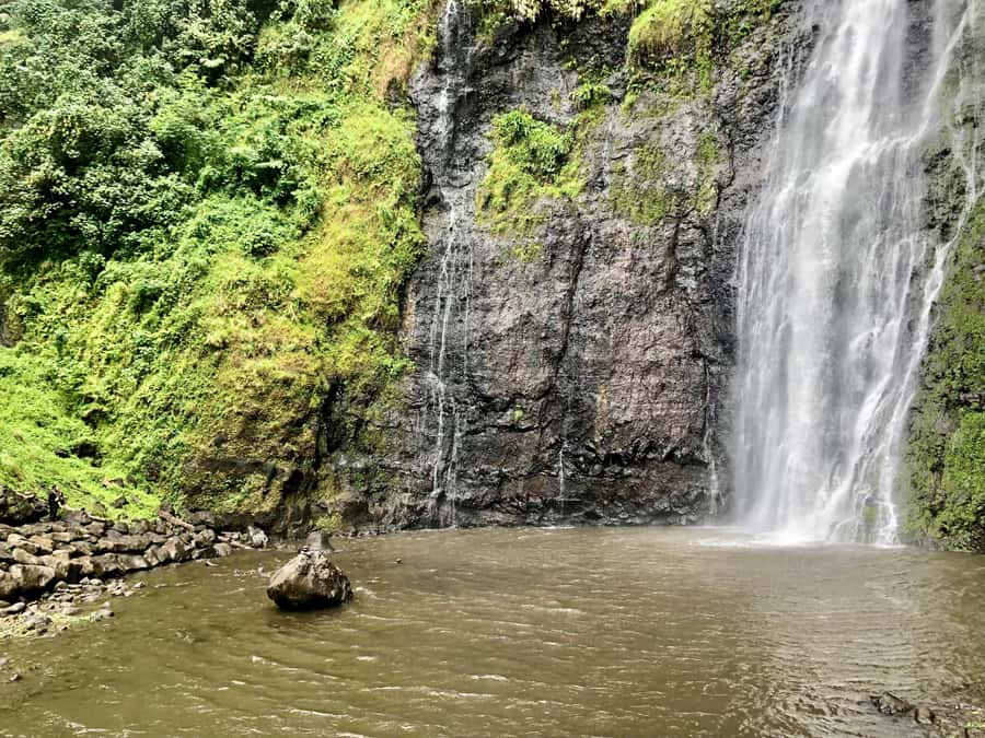 Tahiti: East or West coast tour (Half Day) - What the private guide adds to the drive