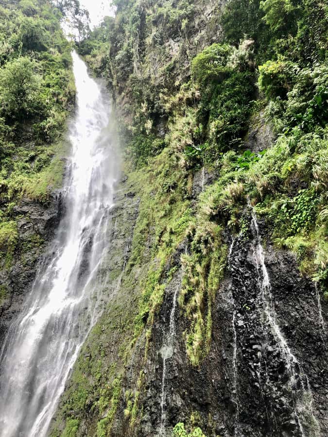 Tahiti: East or West coast tour (Half Day) - Is $550 a fair price for four people?