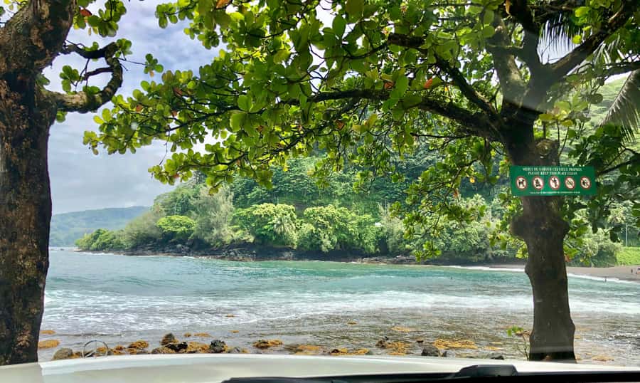 Tahiti: East or West coast tour (Half Day) - Booking advice for the east or west route