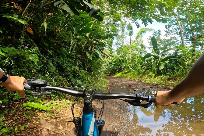 Tahiti excursion adventure circuit MTB MTB E-Bike private valley - Birds, waterfalls, and the catchment behind Bassin du Roi