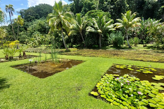 Tahiti Full Day Private Coastal Tour - Starting in Papeete and heading west