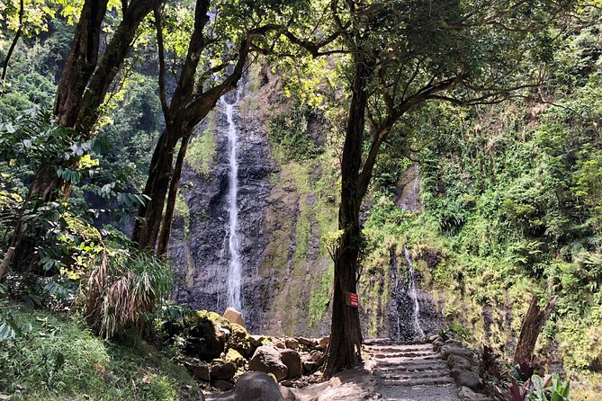 Tahiti: Full Day Tour of the Island - Vaipahi Water Gardens Add Flowers and Ponds
