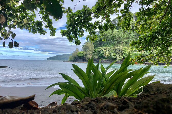Tahiti: Full Day Tour of the Island - Taharuu Beach Shows Tahiti’s Surf Side