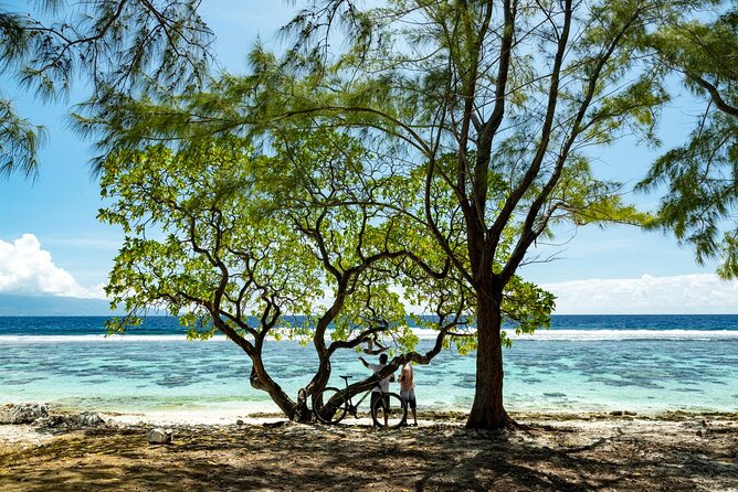 Tahiti Half Day Coastal Private Tour - Faarumai Waterfalls: the route’s big natural spectacle
