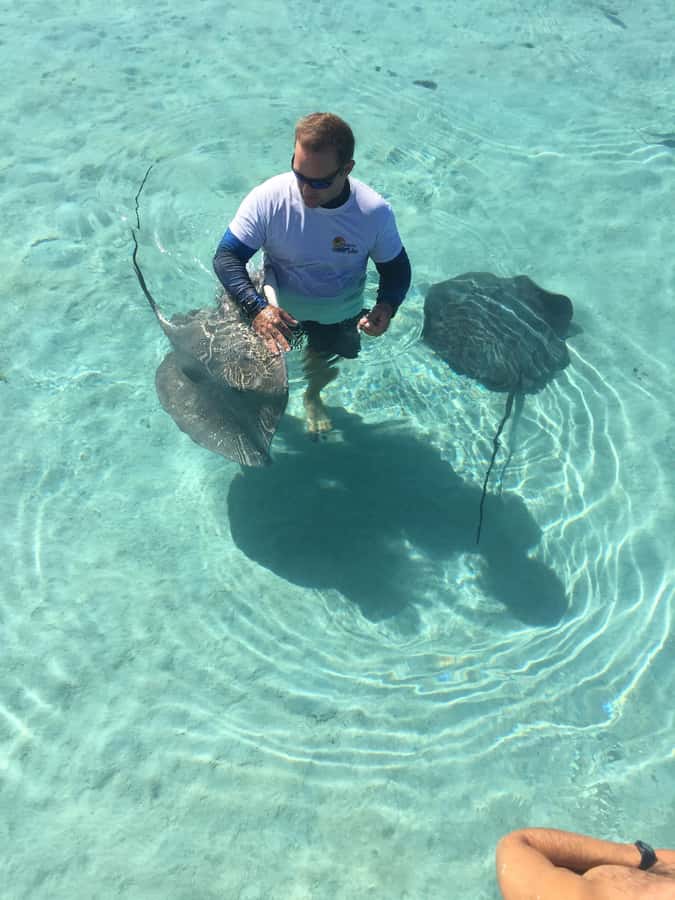 Tahiti island: 4 hours Snorkeling Tour - Four hours on Tahiti’s working lagoon