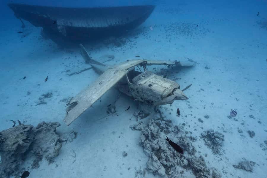 Tahiti island: 4 hours Snorkeling Tour - The Aquarium site and its sunken wrecks