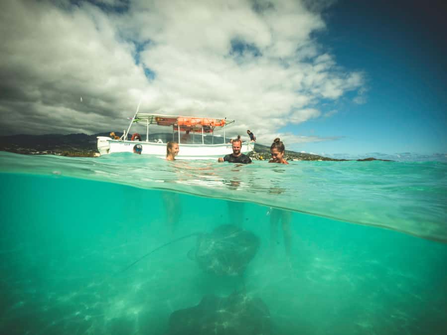Tahiti island: 4 hours Snorkeling Tour - Safety and the guide’s role in the water