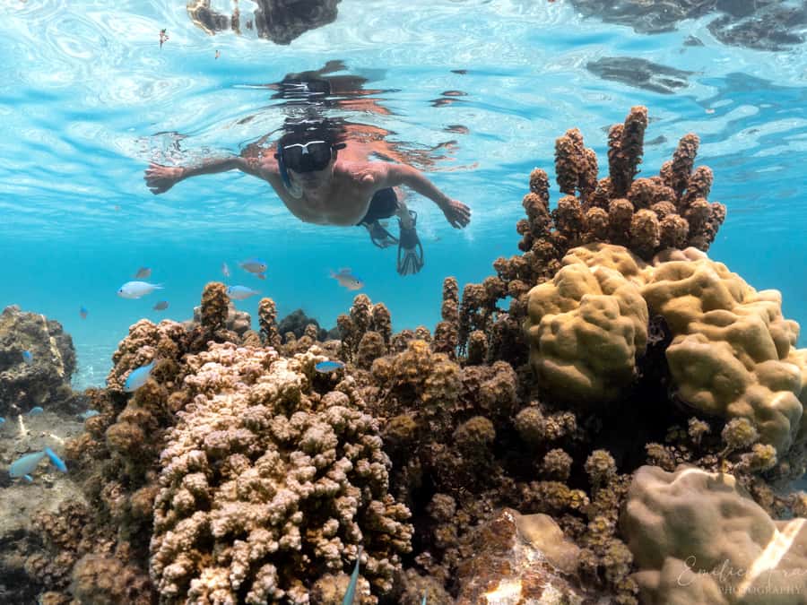 Tahiti island: 5 hours Snorkeling Picnic - Five hours on Tahiti’s open water