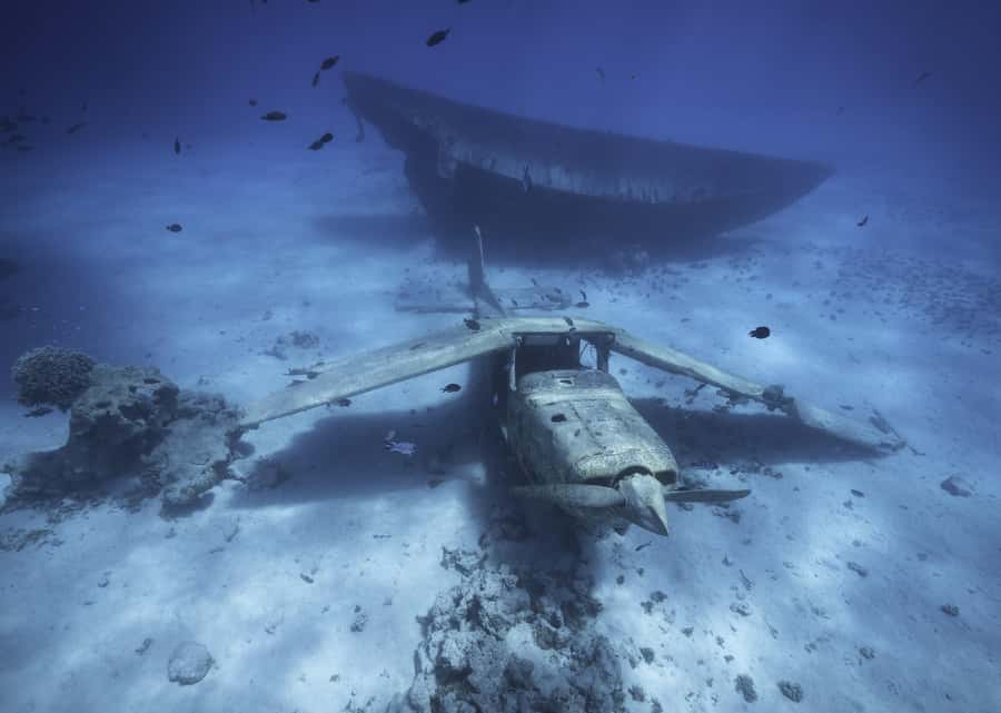 Tahiti island: 5 hours Snorkeling Picnic - The white sandbank and the stingrays