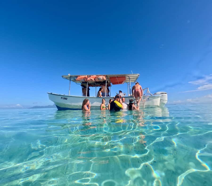 Tahiti island: 5 hours Snorkeling Picnic - What the $227 price really covers