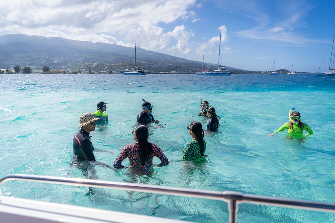Tahiti Lagoon Snorkeling and Lunch Boat Tour (6 pax max) - What $218.64 means in practical value