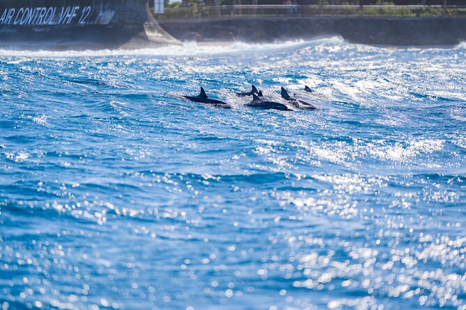 Tahiti Lagoon Snorkeling and Lunch Boat Tour (6 pax max) - Who will enjoy this tour most