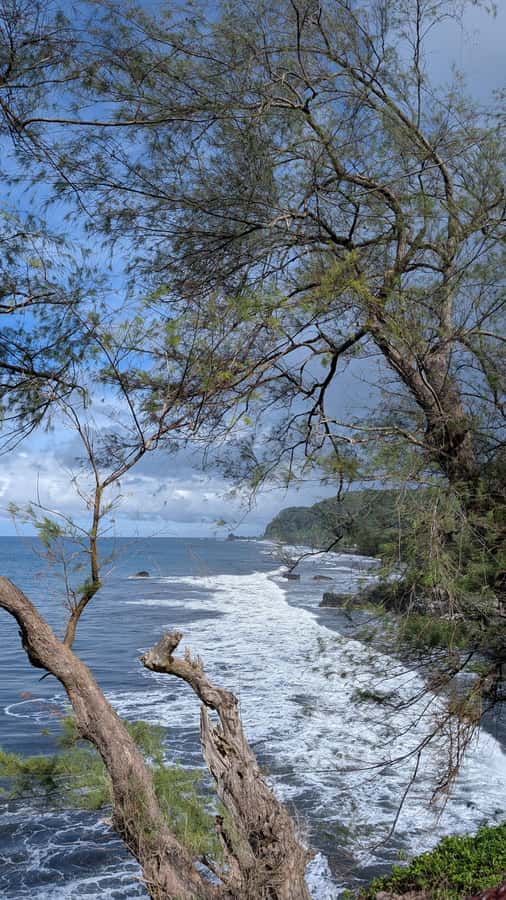 Tahiti: Northeast Coast Waterfalls&Viewpoints Half Day Tour - Point Venus: Cook, the Bounty, and a black-sand beach